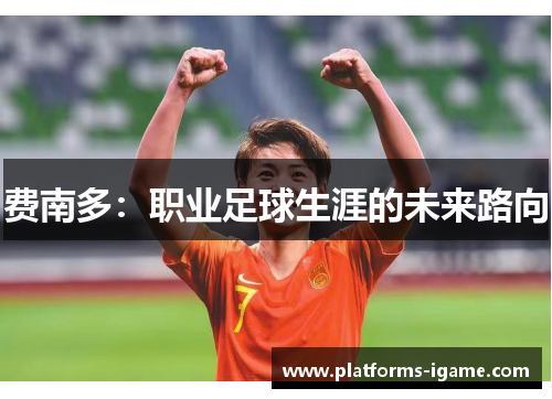 费南多:职业足球生涯的未来路向 费南多:职业足球生涯的未来路向