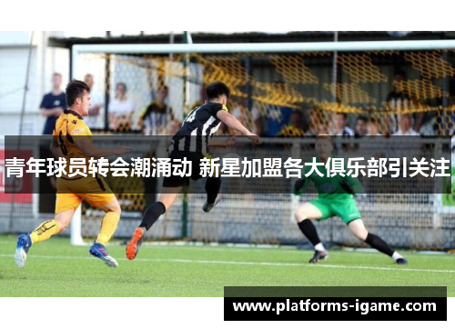 青年球员转会潮涌动 新星加盟各大俱乐部引关注 青年球员转会潮涌动 新星加盟各大俱乐部引关注