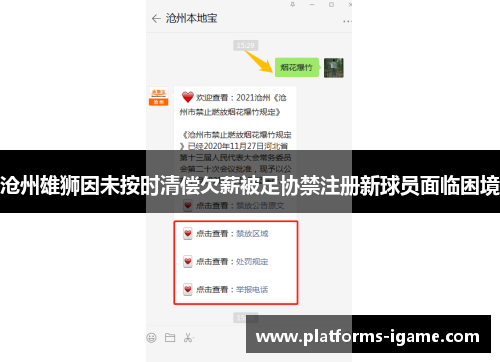 沧州雄狮因未按时清偿欠薪被足协禁注册新球员面临困境 沧州雄狮因未按时清偿欠薪被足协禁注册新球员面临困境